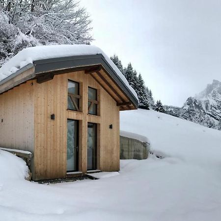 Chalet*** Au Pied D'Une Prairie Face A La Montagne Sixt Buitenkant foto