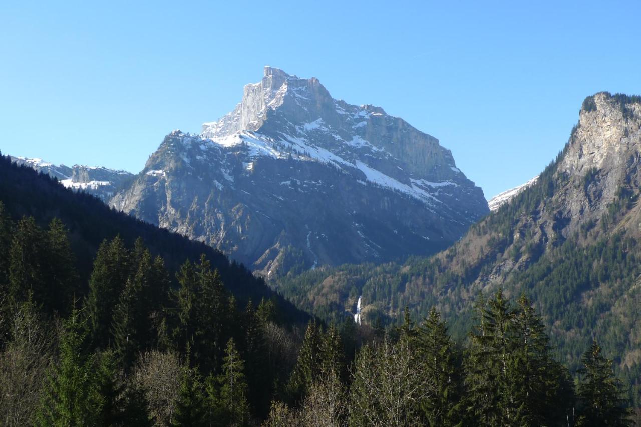 Chalet*** Au Pied D'Une Prairie Face A La Montagne Sixt Buitenkant foto
