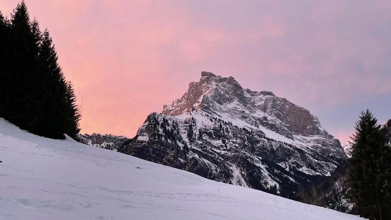Chalet*** Au Pied D'Une Prairie Face A La Montagne Sixt Buitenkant foto