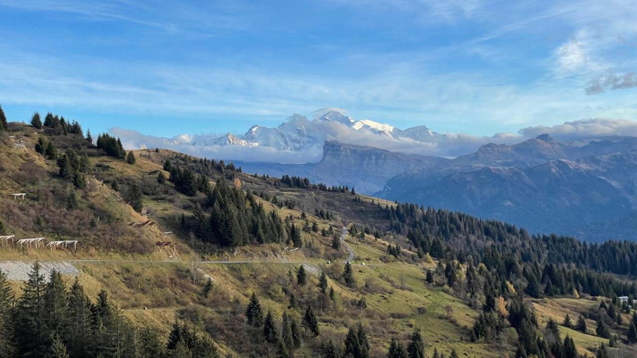 Chalet*** Au Pied D'Une Prairie Face A La Montagne Sixt Buitenkant foto