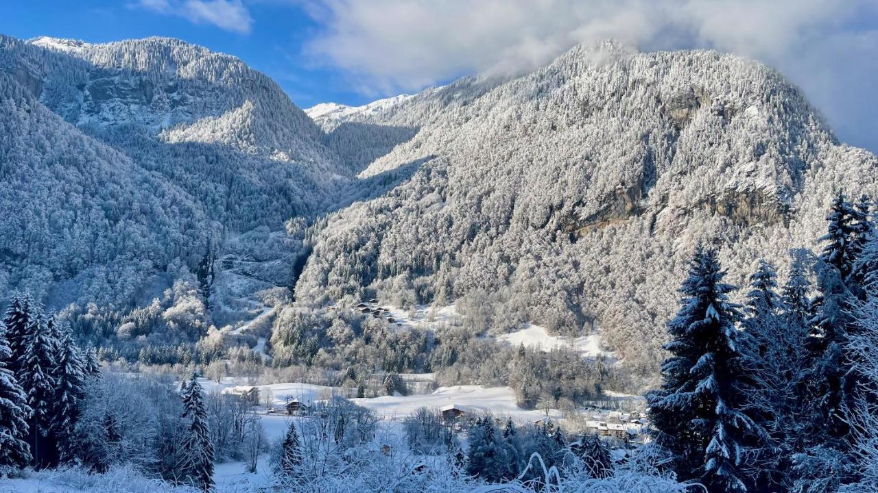 Chalet*** Au Pied D'Une Prairie Face A La Montagne Sixt Buitenkant foto